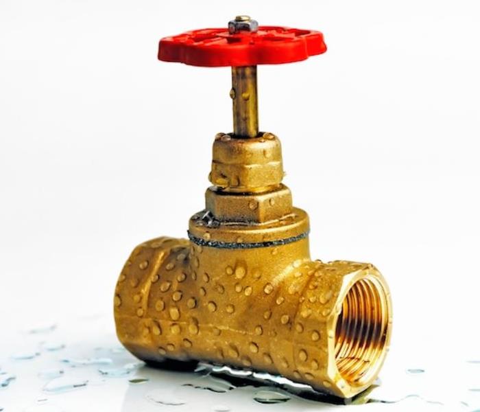 gold water valve with red knob