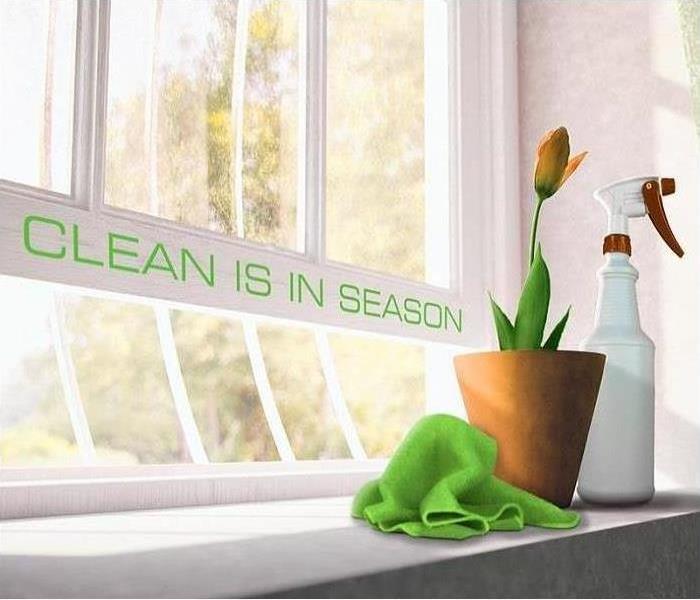 A plant, spray bottle and cloth sitting on window sill