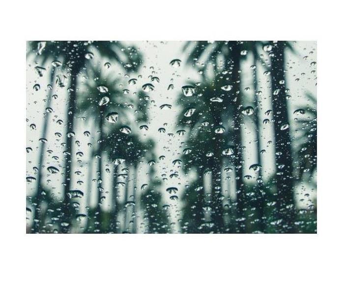 view through a windshield with drops of rain view of palm trees and gray clouds