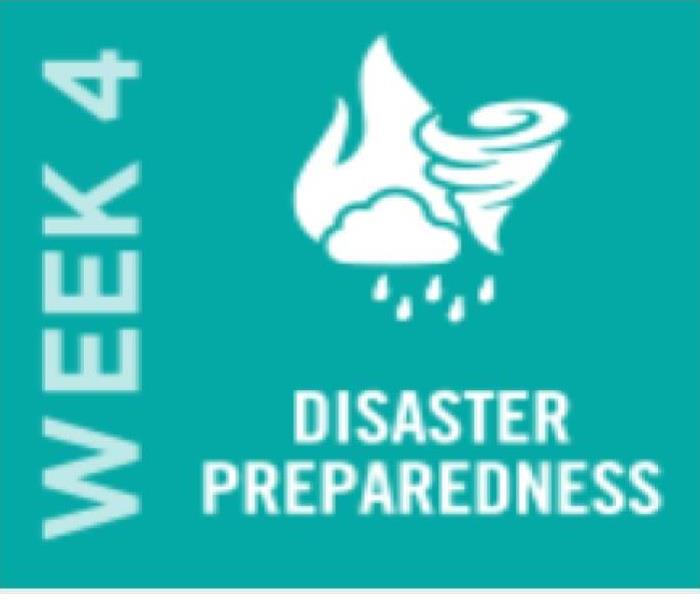 green back ground with white lettering disaster preparedness