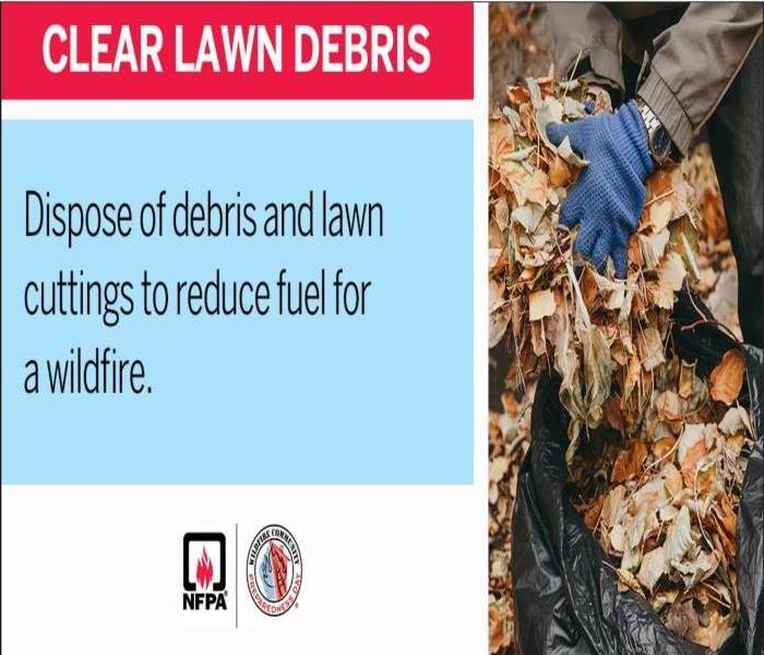 ground covered in leaves with blue rake scooping them into black trash bag
