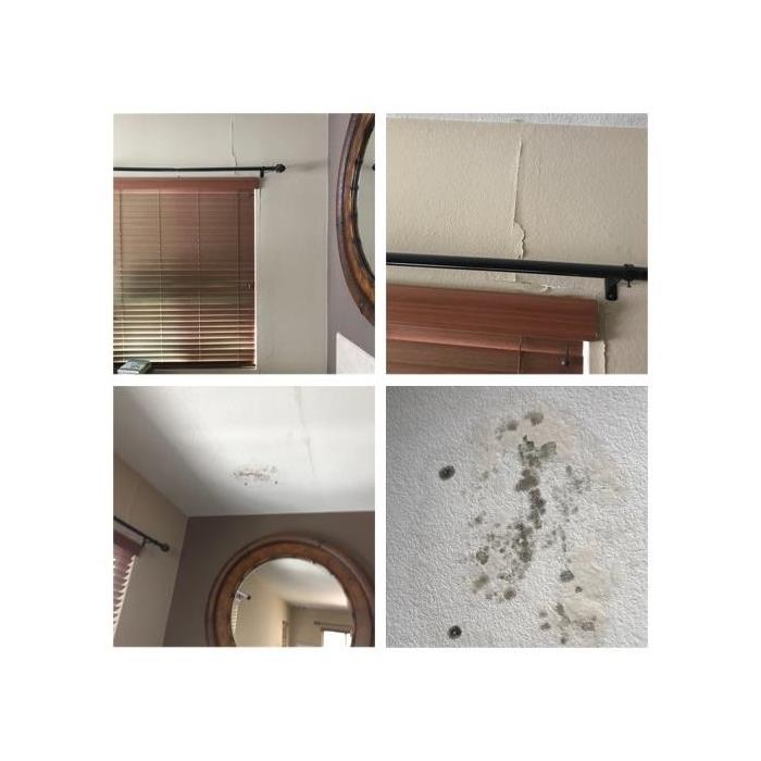 4 photos depicting black mold on a ceiling, and plaster on the white walls lifting.